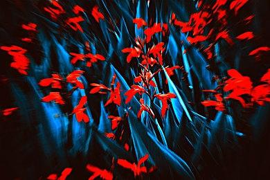 《马力欧＋疯狂兔子：王国之战》5周年 玩家突破1000万